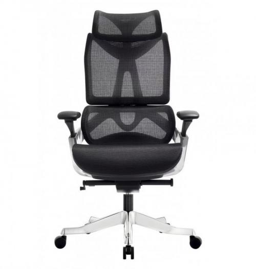 Ghế lưới lãnh đạo PTV824